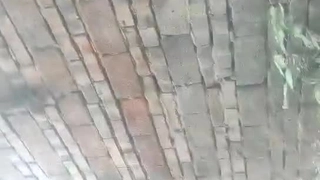东芝笔记本爽了