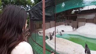 CJOD-371 CJOD-371 GOto不倫トラベル 爆乳セレブ妻と濃厚オヤジの中出し交遊浪漫 吉根ゆりあ