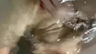 佛州来的南方女孩第一次出镜被剥光然后在你的眼前自慰