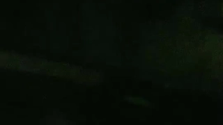 裸体场景合集的动画和3D动画模特